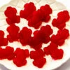 Allen's Red Frogs 1.3kg Bag -SUNSHINE CONFECTIONERY Shop Allens 20Red 20Frogs 203 893d77ce 93db 46e5 9079 84d56552e264
