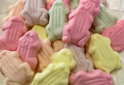 Front Page -SUNSHINE CONFECTIONERY Shop Yoghurt 20Frogs 202